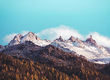 皇冠体育线上-山东魏桥晋级乒超男团决赛 临场应变出奇兵制胜